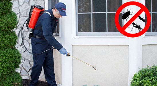 Derepazarı Böcek ve Haşere İlaçlama böcek ilaçlama ve haşere kontrolü — ilaclama-tr.com